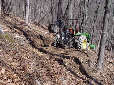 Pine Tree Road