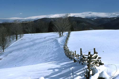 Allegheny Mtn.