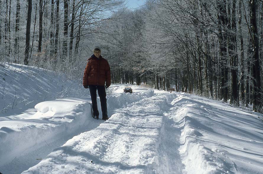 Middle Mountain Road