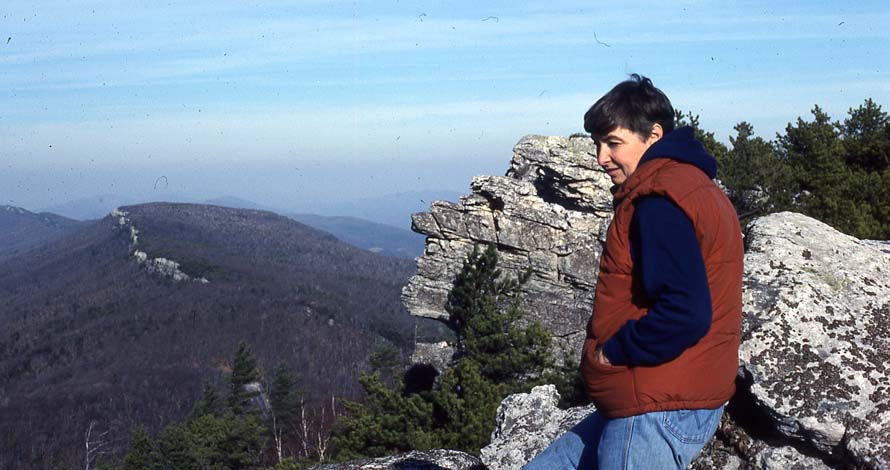 North Fork Mtn.