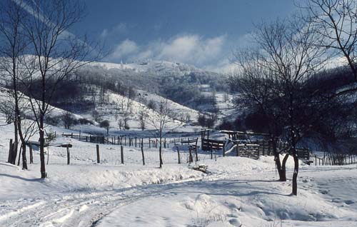 Yokum Knob