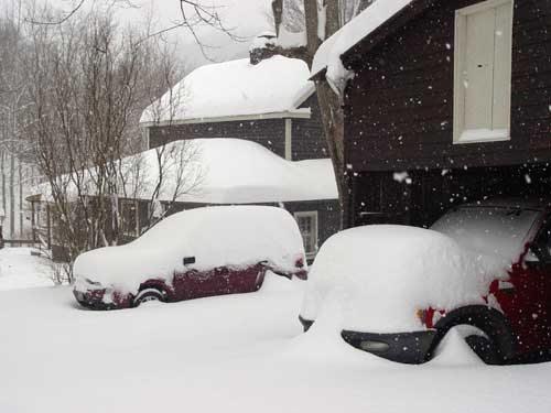 Our car and truck