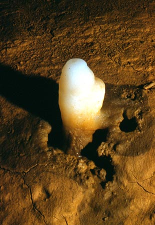 Stalagmite