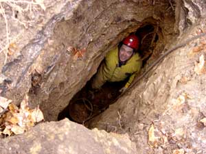 Chestnut Ridge Dig
