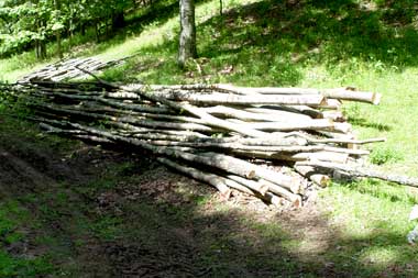 Log piles