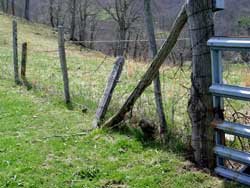Old fence