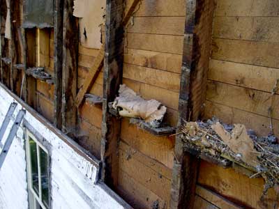 Ends of flooring