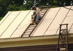 Paint roof