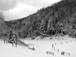 Snow-covered pond