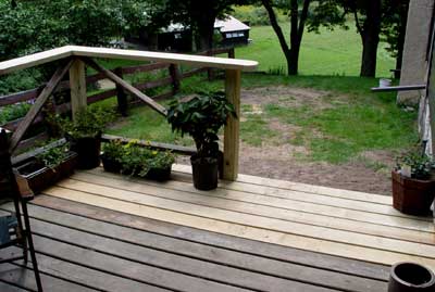 Plants on the porch