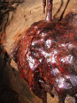 Red flowstone